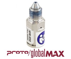 PROTOMAX / GLOBALMAX COMPACT SAFETY VALVE ASSY; OMAX #318379